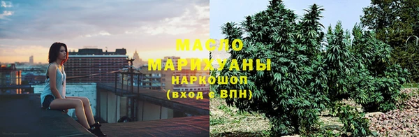 винт Пересвет