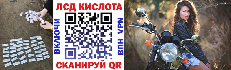 закладки  Новозыбков  Лсд 25 экстази кислота 