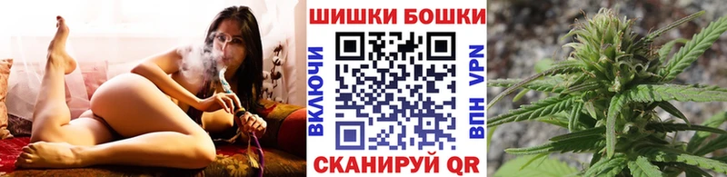 МЕГА tor  Новозыбков  Каннабис сатива 